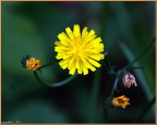 2019-08-27-00779