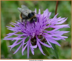 2019-09-27-00935
