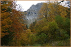 2019-10-17-10034