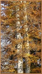 2020-10-31-00921