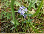 2023-03-12-f0010