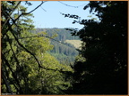 2023-08-11-f0009