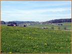 2024-04-12-f0049